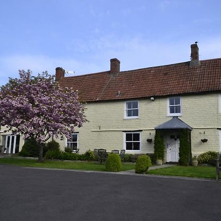 The Lawns Tea Room And B&B Ashcott Exteriér fotografie