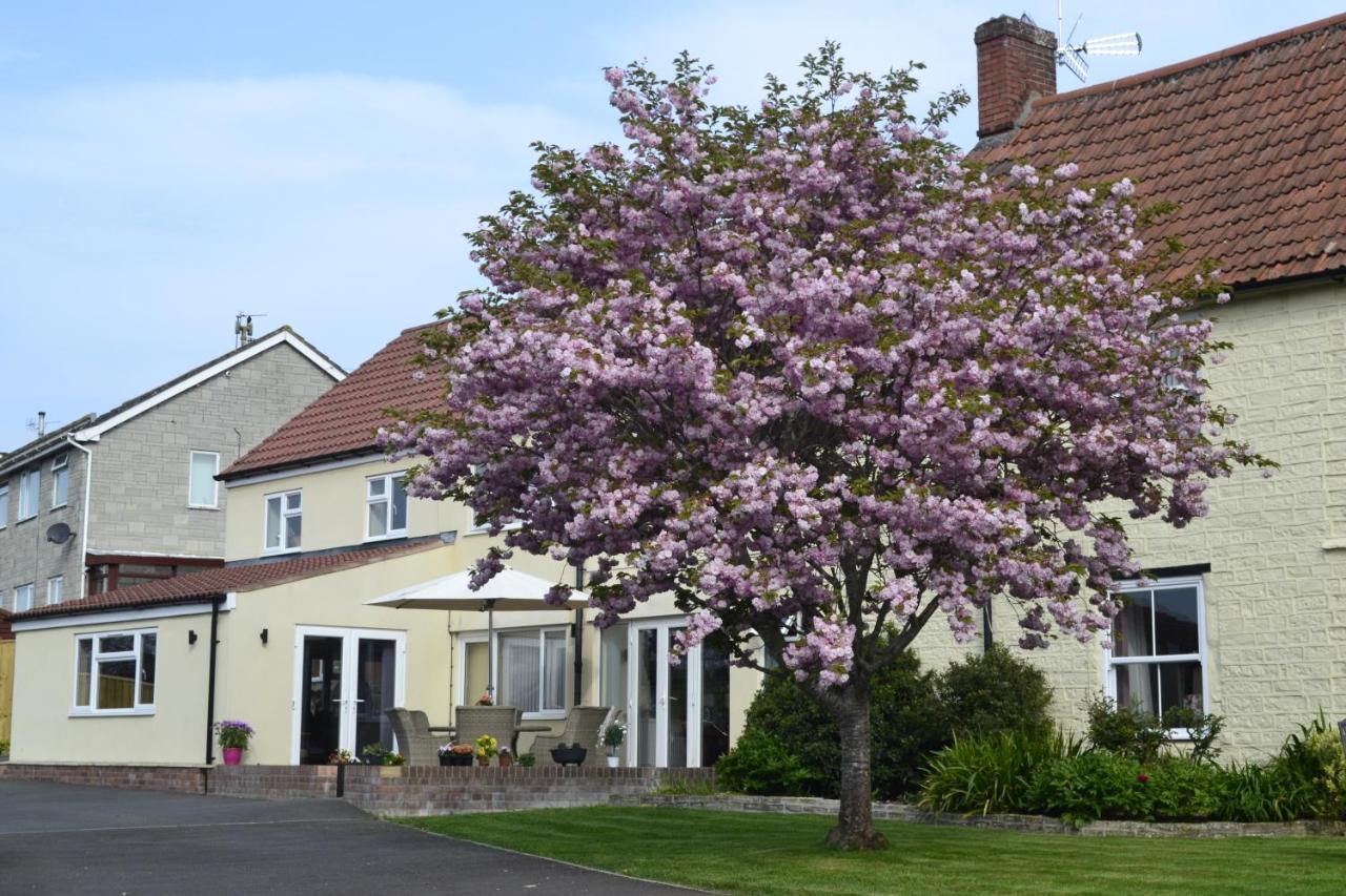 The Lawns Tea Room And B&B Ashcott Exteriér fotografie