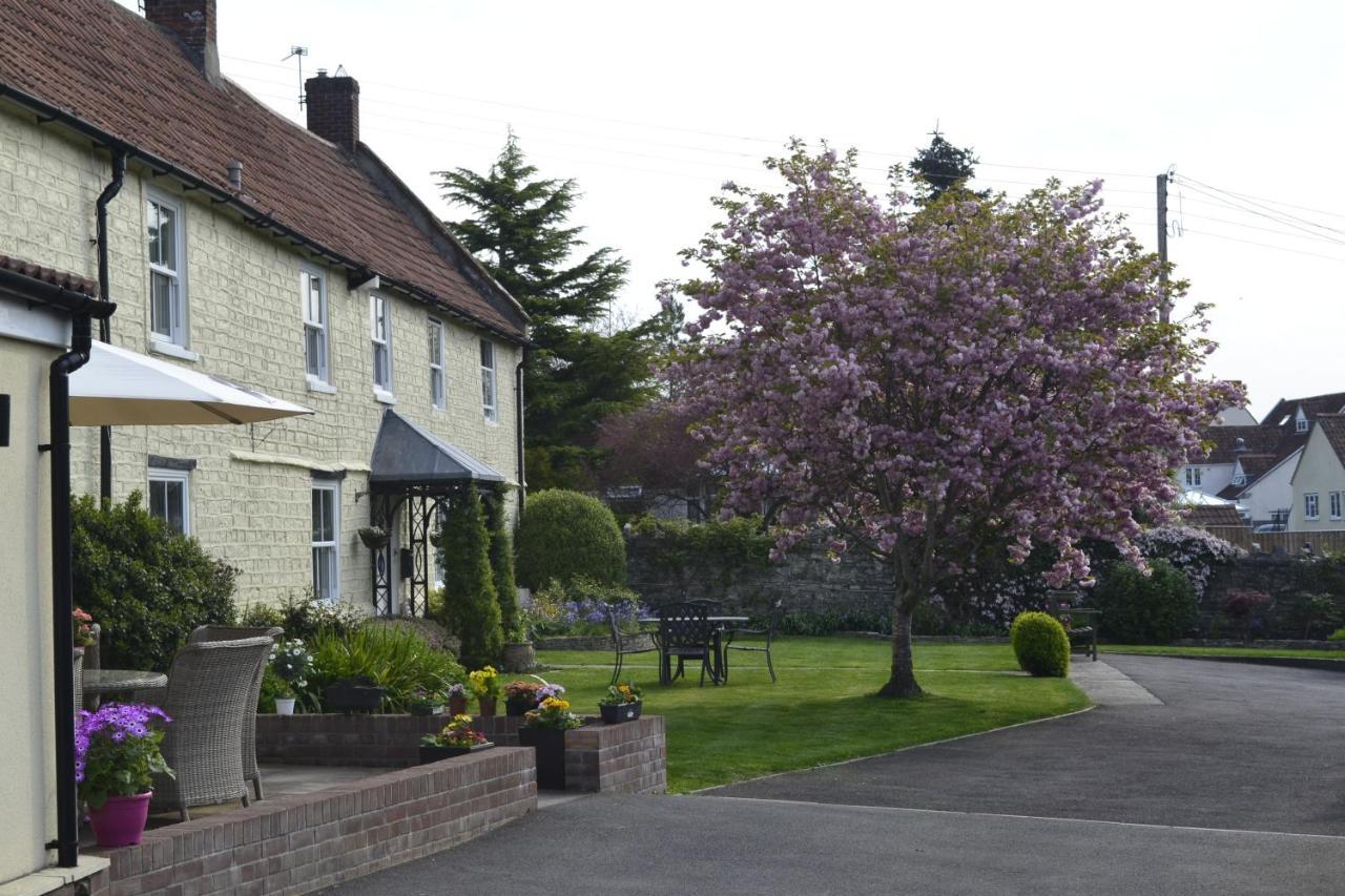 The Lawns Tea Room And B&B Ashcott Exteriér fotografie