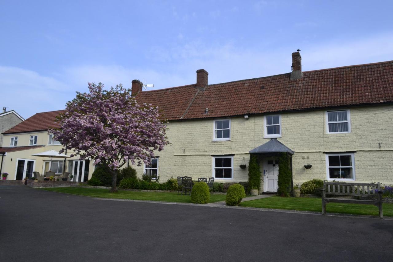 The Lawns Tea Room And B&B Ashcott Exteriér fotografie