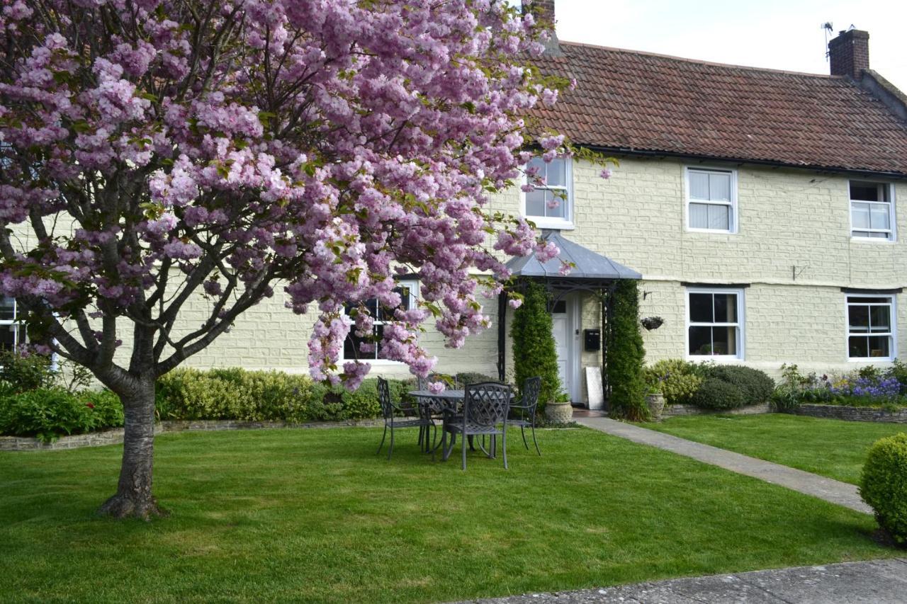 The Lawns Tea Room And B&B Ashcott Exteriér fotografie